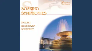 Symphony No. 40 in G Minor, K. 550 : I. Molto Allegro