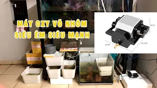 [Review] Máy Sủi Oxy Resun AP-30 16W siêu êm, không ồn bằng hợp kim nhôm  cho hồ cá bảy màu