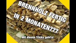 Brennholz fertig in 2 Monaten? So geht's!