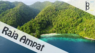 Raja Ampat Indonesia | Best Snorkel in the World