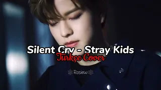 Silent Cry - Stray Kids - Türkçe Cover~krc#silentcry#straykids#türçecover