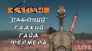 KENSHI | МОДЫ | ПАЦАНКА| ГАЙДОВЫЙ ГАЙД ПО ФЕРМЕРСТВУ ФЕРМЕРОМ