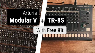 TR-8S + Arturia Modular V Samples (Free Kit) + Digitakt | 4K | 2024