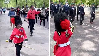Frank marches with the Royal Marines and gets a salute 💂 #guards #horse #london