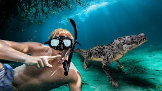 SWIMMING with WILD Crocodiles in Mexican Cenotes