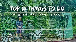 Top 10 Things You Can Do In Mulu National Park | Sarawak Borneo