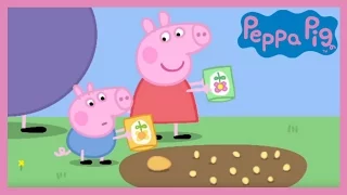 Peppa Pig - Peppa and George's Garden (Full Episode)