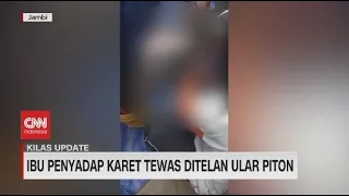 Ibu Penyadap Karet Tewas Ditelan Ular Piton