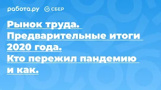 Рынок труда. Предварительные итоги 2020 года. Кто пережил пандемию и как.