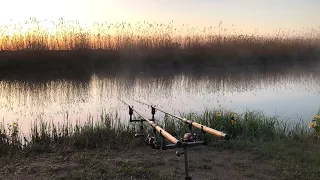 Фидерная рыбалка на линя, Приехал на новое место и пошла раздача! Tench Fishing  | Līņi cope kanālu