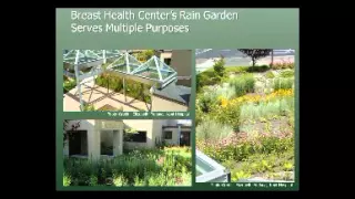 Landscape Design  - Therapeutic Wellness Gardens