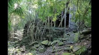 Forgotten Water Mill Discovered Intact In The Woods! So Cool! (Grist Mill)