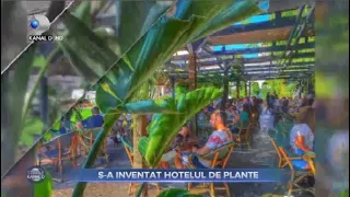 Stirile Kanal D (14.11.2021) - S-a inventat hotelul de plante! | Editie de seara