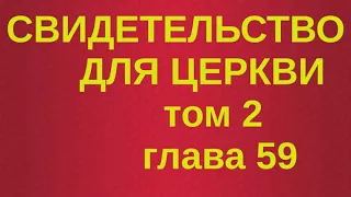 Свидетельство для церкви том 2 глава 59