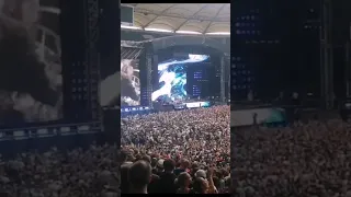 Red hot chili peppers (Snow / crazy crowd / live at Volkspark Stadion Hamburg 2022)
