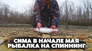 Сима в начале мая / Рыбалка на спиннинг