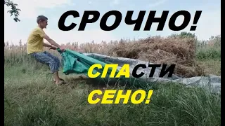 Сенокос вручную и заготовка сена без механизации.