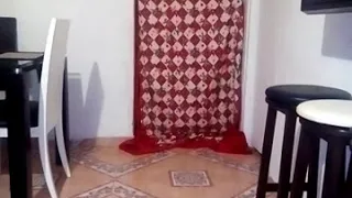 Reto de La Manta Perro - Dog React To Magic Trick With Blanket