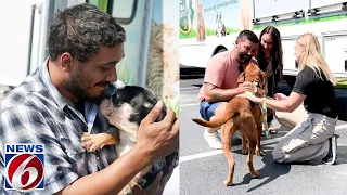 Deputies adopt 3 dogs rescued during Volusia animal cruelty investigation