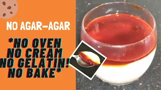 EASY & Quick DESSERT with 1/2 litre of MILK  | Milk Dessert | No Egg | NO Bake (No Oven)