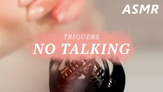 АСМР Триггеры без слов ASMR Triggers No Talking ZOOM h1n