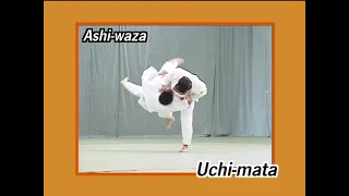 Nage No Kata