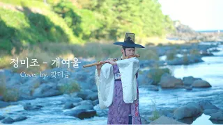 정미조 - 개여울