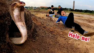 People Got Attacked By the Most Dangerous Venom Snake in the Desert | Mike Vlogs