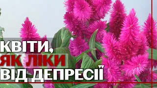 Дружина захисника "Азовсталі" відкрила квітковий магазин у Львові