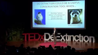 De-extinction: a game-changer for conservation biology: Stanley Temple at TEDxDeExtinction