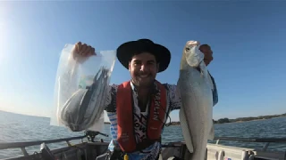 How to Catch Coorong Mulloway!!  Fishing for Mulloway in Small Tinny