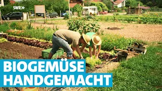 Wie zwei Hobby-Gärtner als "Gemüselenz" ihren Traum verwirklichen