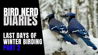 The Last Days of Winter Birding (Part 2 of 2) | Bird Nerd Diaries