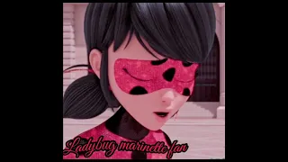 Miraculous ladybug 🐞 Wolves song {im in love with this video💕}