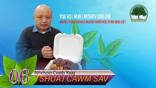 06. Ntxhoo Ceeb Muaj Ntshav Qab Zib - Noj Puas Tau Mov Nplaum thiab Nqaij Qaib Kib?