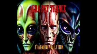 Goa Psy Trance Fragment Evolution Nitzhonot Nitzhogoa FULL 2024 V.2.3 My Label 1992