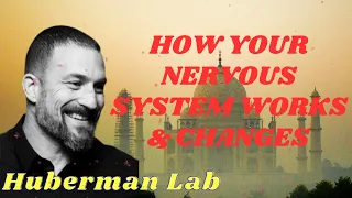 How Your Nervous System Works & Changes II Huberman Lab