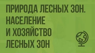 Природа лесных зон. Население и хозяйство лесных зон. Видеоурок по географии 8 класс