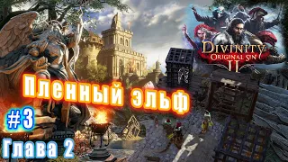 Divinity Original Sin 2 Definitive Edition  - Глава 2: Пленный эльф (3)