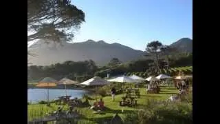 Cape Point Vineyards - Restaurants in Noordhoek