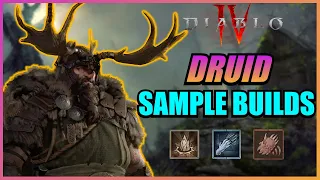 3 Druid Build Concepts To Try In Beta | Diablo 4