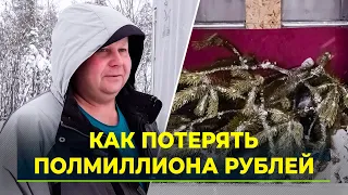 На Ямале лесхозы ищут новогодних браконьеров