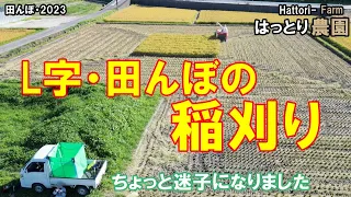 洗車場の田んぼ・稲刈り　田んぼ・2023　20230829　クボタ・ER323