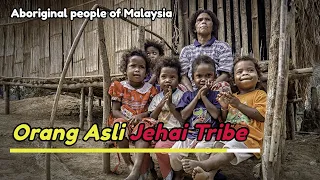 DNA Results of Jahai people (Orang Asli)