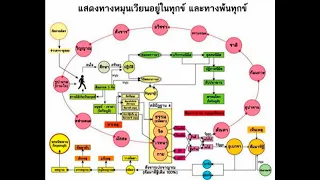 ปฏิจสมุปบาท หลักธรรมที่พระพุทธเจ้าทรงตรัสรู้ เพื่อหลุดพ้นวัฏสงสาร หรือการเวียนว่ายตายเกิด