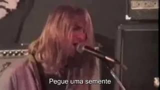 Nirvana Live at Kapu,1989- 06 - Polly (legendado)