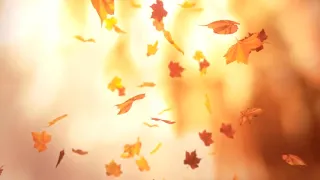 1 Падающие осенние листья   Falling leaves