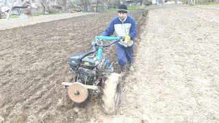 Plowing with a walk-behind tractor in a dump, but more evenly + manure incorporation