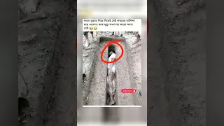 আজব তো, এটা কেমন কবর🤔🤔 #shorts #trending #viral