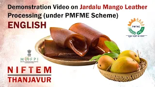 Demonstration Video on Jardalu Mango Leather Processing (under PMFME Scheme) - ENGLISH